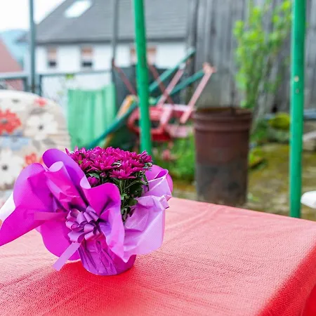 Bergblick Apartamento