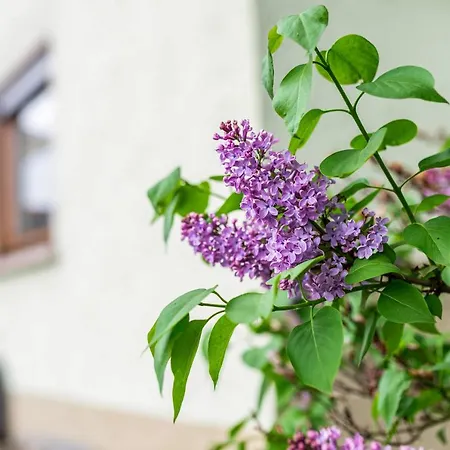 Bergblick Apartamento Forbach