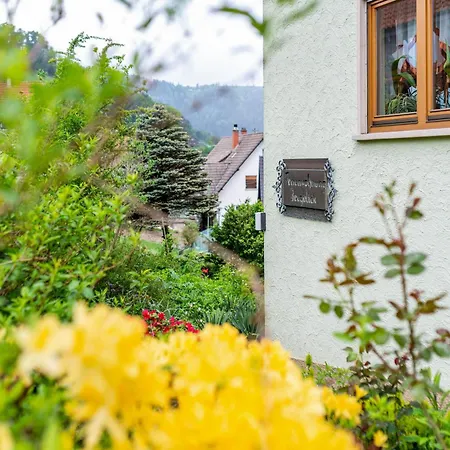 Bergblick *