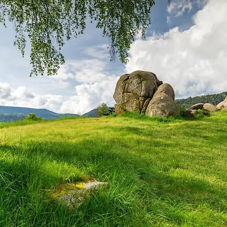 Bergblick * Forbach