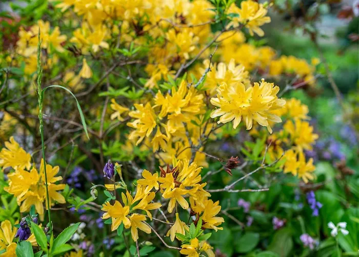 Apartmán Bergblick *